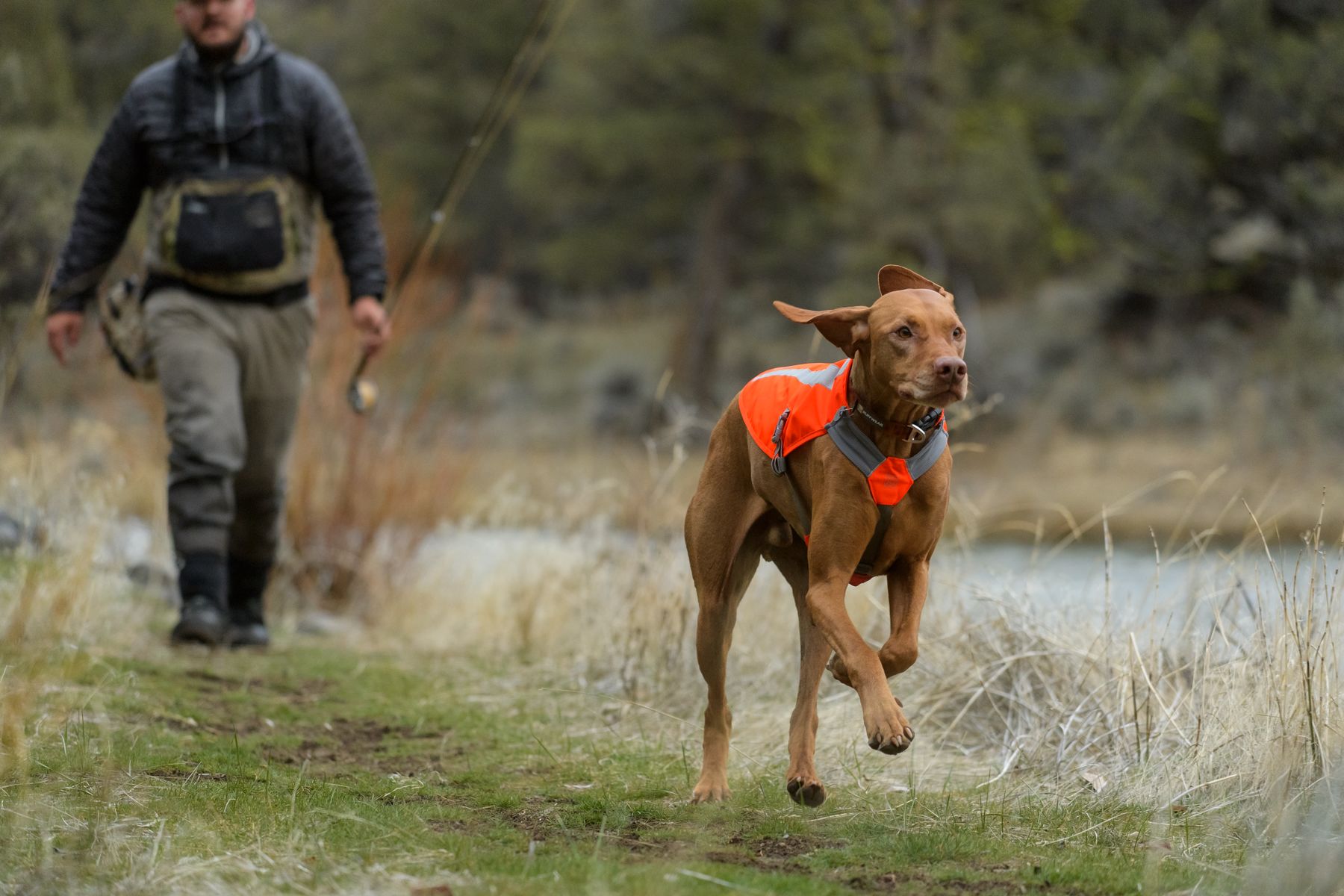 Ruffwear Sicherheitswesten