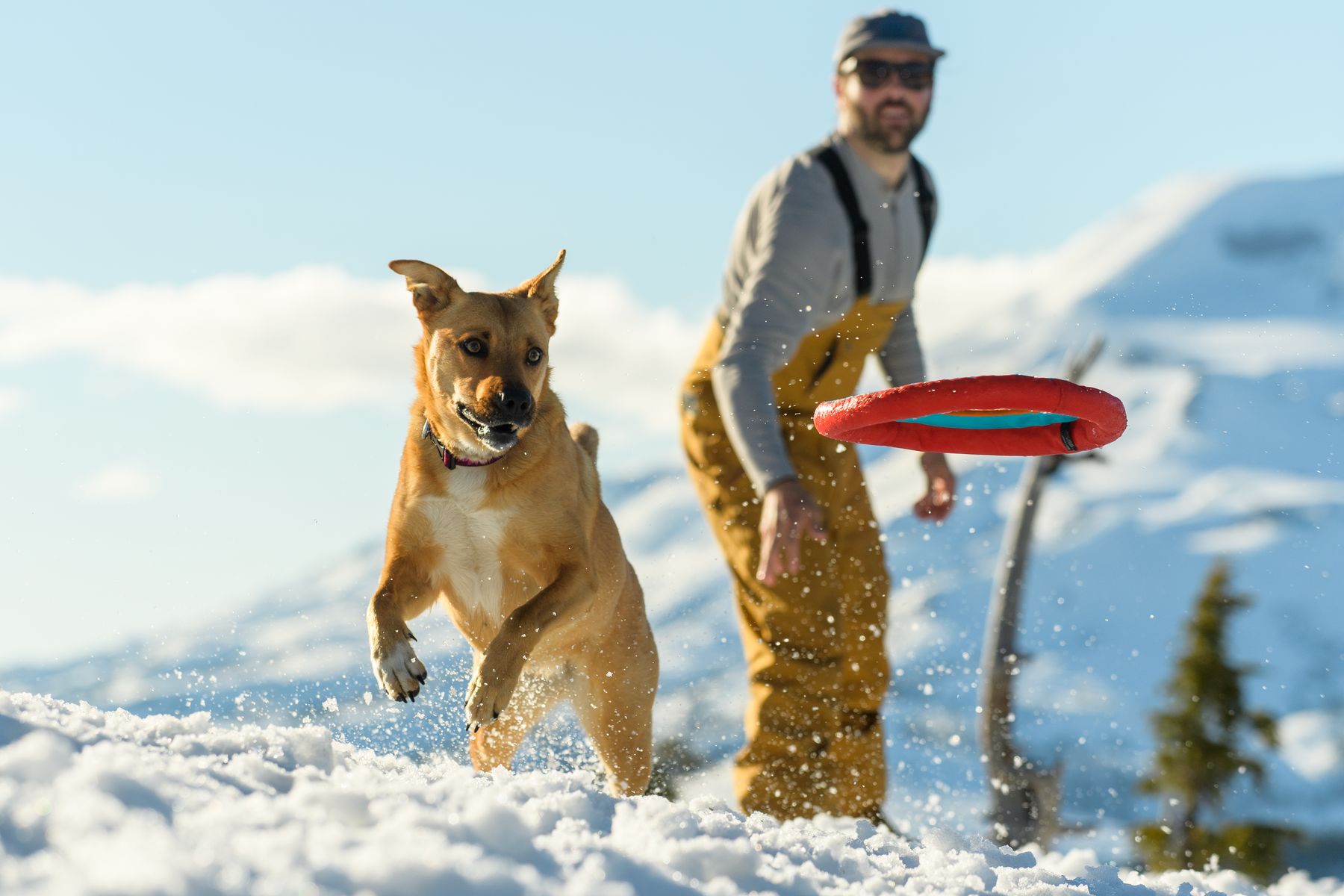 Frisbees