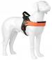 Preview: Tre Ponti - LINEA FLASH - Orange - Gr. XXL Preview: Tre Ponti - LINEA FLASH - Orange - Gr. XXL