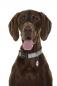 Preview: DOOG - Halsband - BENJI - L Preview: DOOG - Halsband - BENJI - L