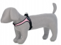 Preview: Easy Fit Classic - Click-Verschluss + Verstellbarer Bauchgurt - Schwarz - Schwarzer Rand - Gr. 3,5