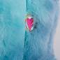 Preview: Hugglehounds X-Brace Calamaro Squid, ohne Squeaker