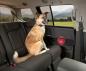 Preview: Kurgo Car Door Guard Charcoal Preview: Kurgo Car Door Guard Charcoal