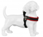 Preview: Easy Fit Soft Mesh - Click-Verschluss + Verstellbarer Bauchgurt - Rot - Reflektierende Naht - Gr. 2,5