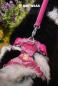 Preview: Ruffwear Front Range Geschirr Pink Mountains Gr. L/XL