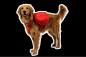 Preview: Ruffwear Palisades Pack Red Currant Gr. S
