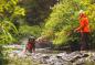 Preview: Ruffwear Rouge Long Line Blaze Orange
