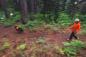 Preview: Ruffwear Rouge Long Line Blaze Orange