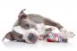 Preview: DOOG - Halsband - SCOOBY - L Preview: DOOG - Halsband - SCOOBY - L