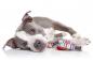 Preview: DOOG - Leine Neoprene SCOOBY - Small