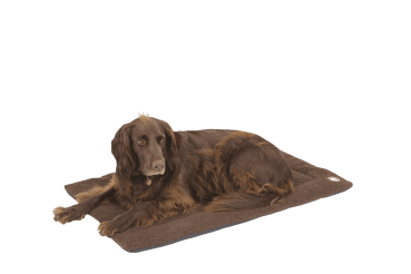 Doggy Wool Blanket - Brown - L