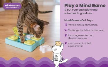 Outward Hound Nina Ottosson Kitty Cube