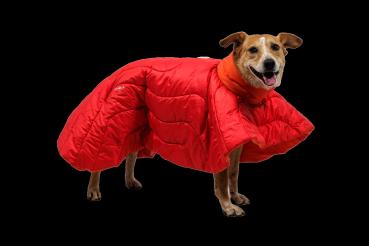 Ruffwear Palisades Sleep Poncho Red Currant Gr. L/XL