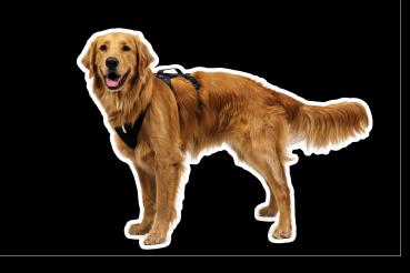 Ruffwear Ridgeline Harness Obsedian Black Gr. M