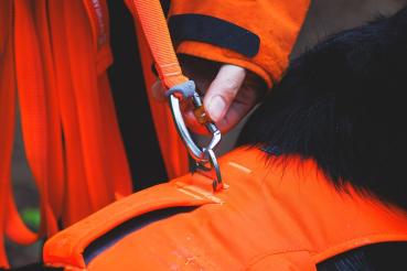 Preview: Ruffwear Rouge Long Line Blaze Orange