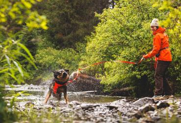 Preview: Ruffwear Rouge Long Line Blaze Orange