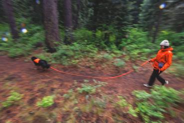 Preview: Ruffwear Rouge Long Line Blaze Orange