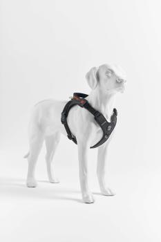 Preview: Tre Ponti Harmonia Y-Geschirr Black Gr. XXL