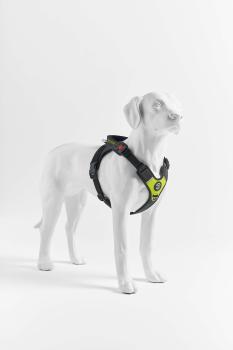 Preview: Tre Ponti Harmonia Y-Geschirr Lime Gr. XL