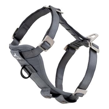 Kurgo Enhanced Strenght Tru-Fit-Smart Harness (incl. Seat Belt Tether) charcoal Gr. L