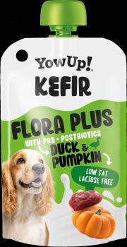 Preview: Yow Up! Kefir Ente und Kürbis 10x115g