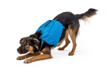 Ruffwear Approach Pack Blue Dusk Gr. XS