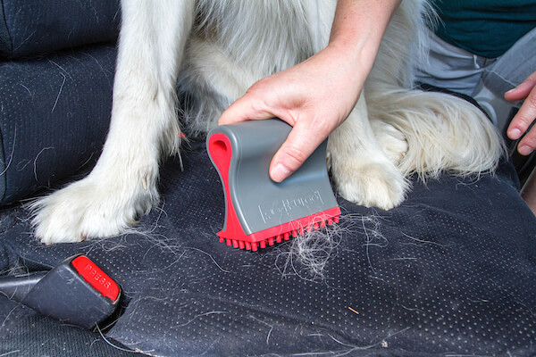 Kurgo Shed Sweeper, Pet Hair Remover, Te gebruiken voor Stoelhoezen, Tapijt en Stoffering, Compact en Lichtgewicht, Grijs/Rood