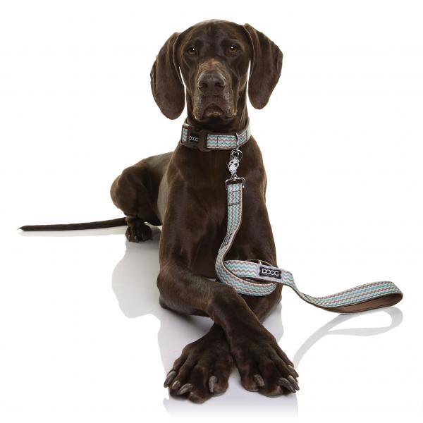 Doog - Leine Neoprene BENJI- Small