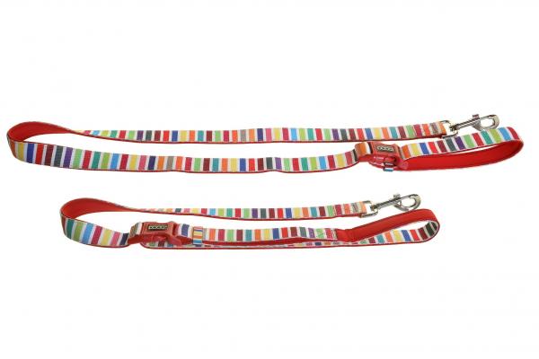 Doog - Leine Neoprene SCOOBY - Small
