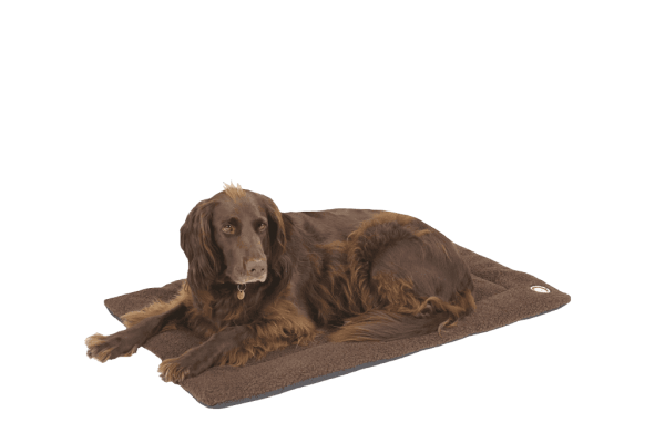 Doggy Wool Blanket - Brown - M Doggy Wool Blanket - Brown - M
