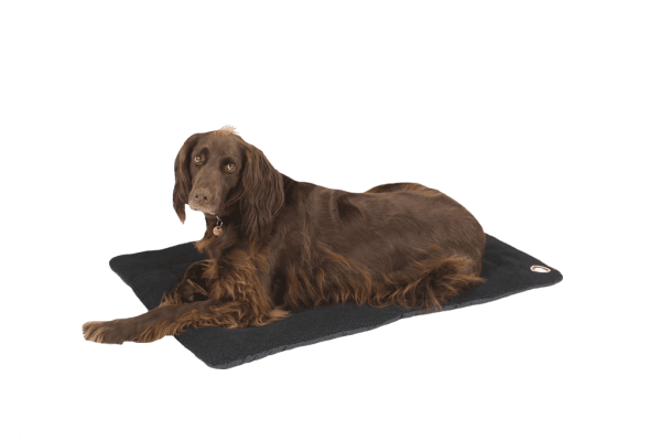 Doggy Wool Blanket - Black - M Doggy Wool Blanket - Black - M
